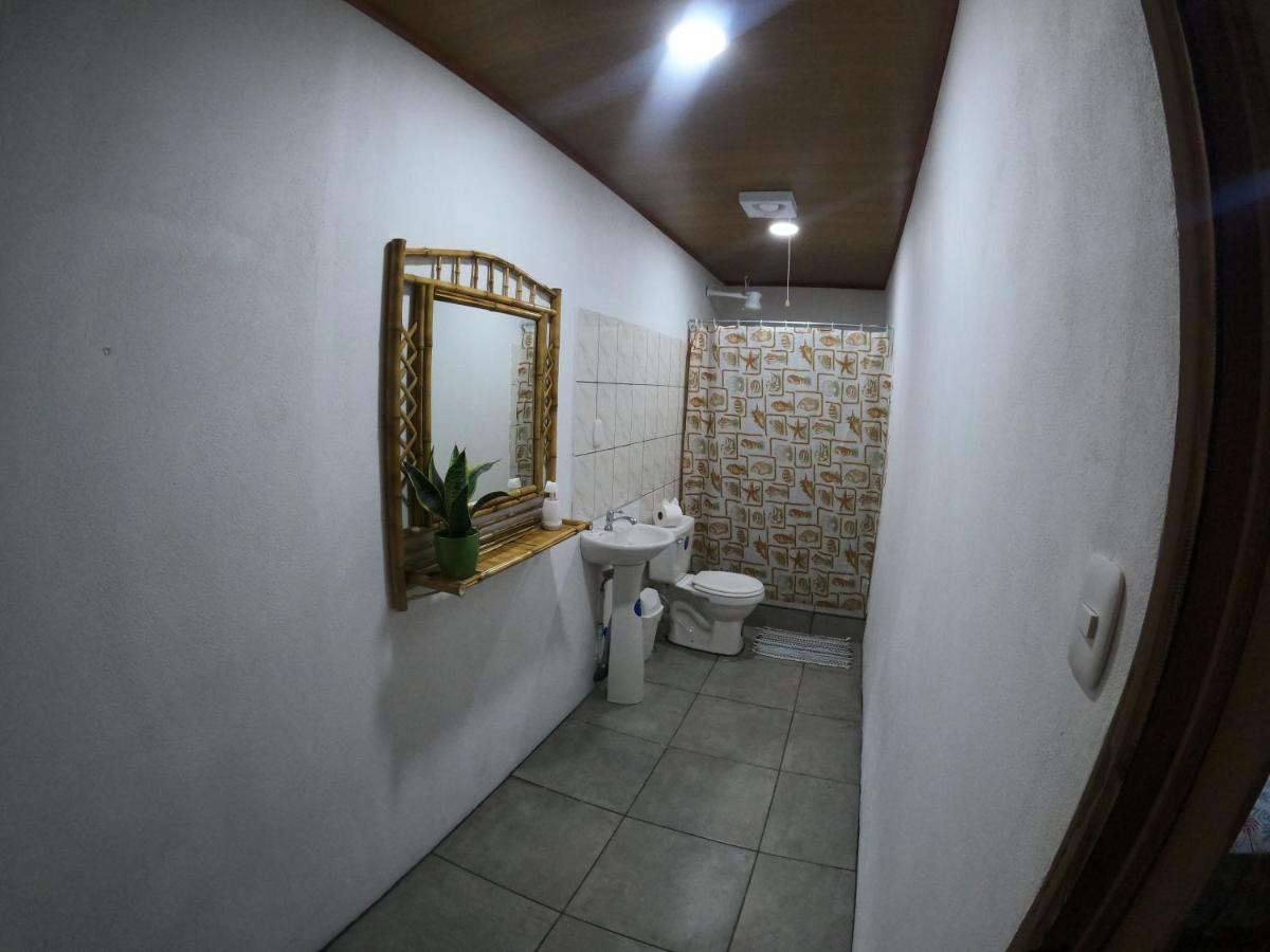 Tree House Samanea Lodge プエルト・リモン エクステリア 写真