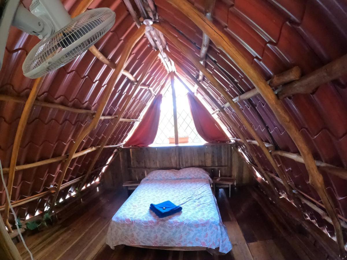 Tree House Samanea Lodge プエルト・リモン エクステリア 写真