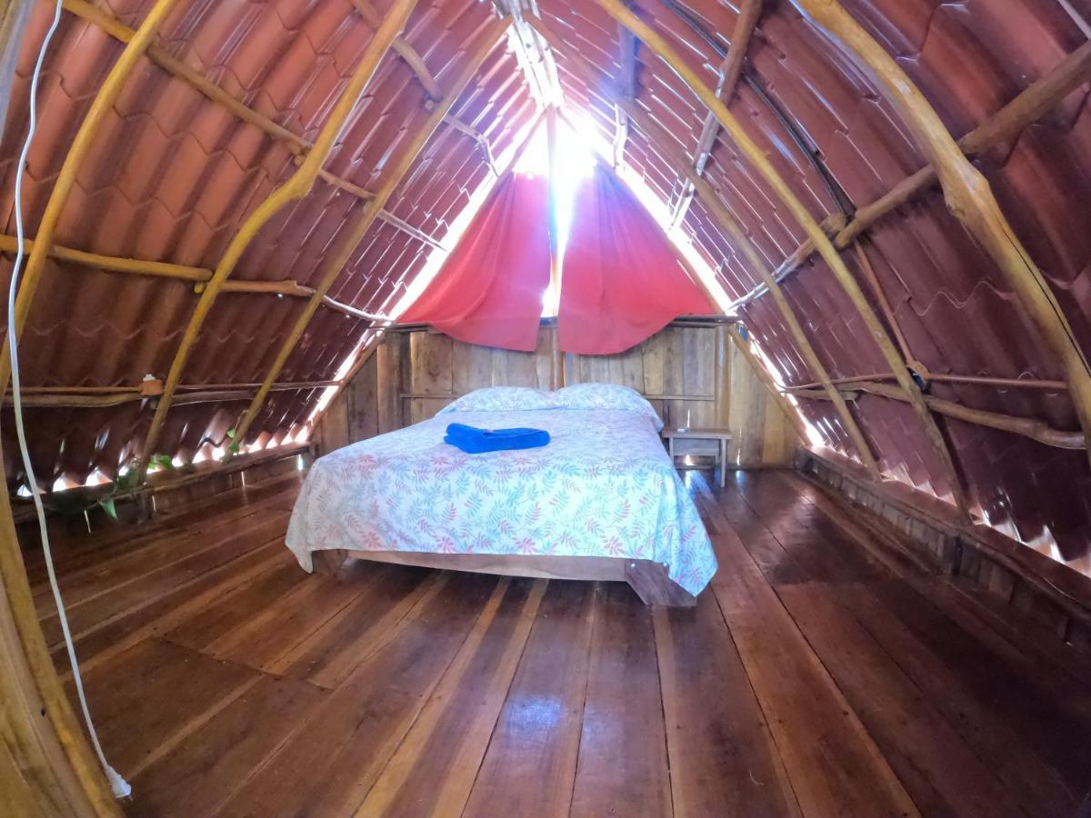 Tree House Samanea Lodge プエルト・リモン エクステリア 写真