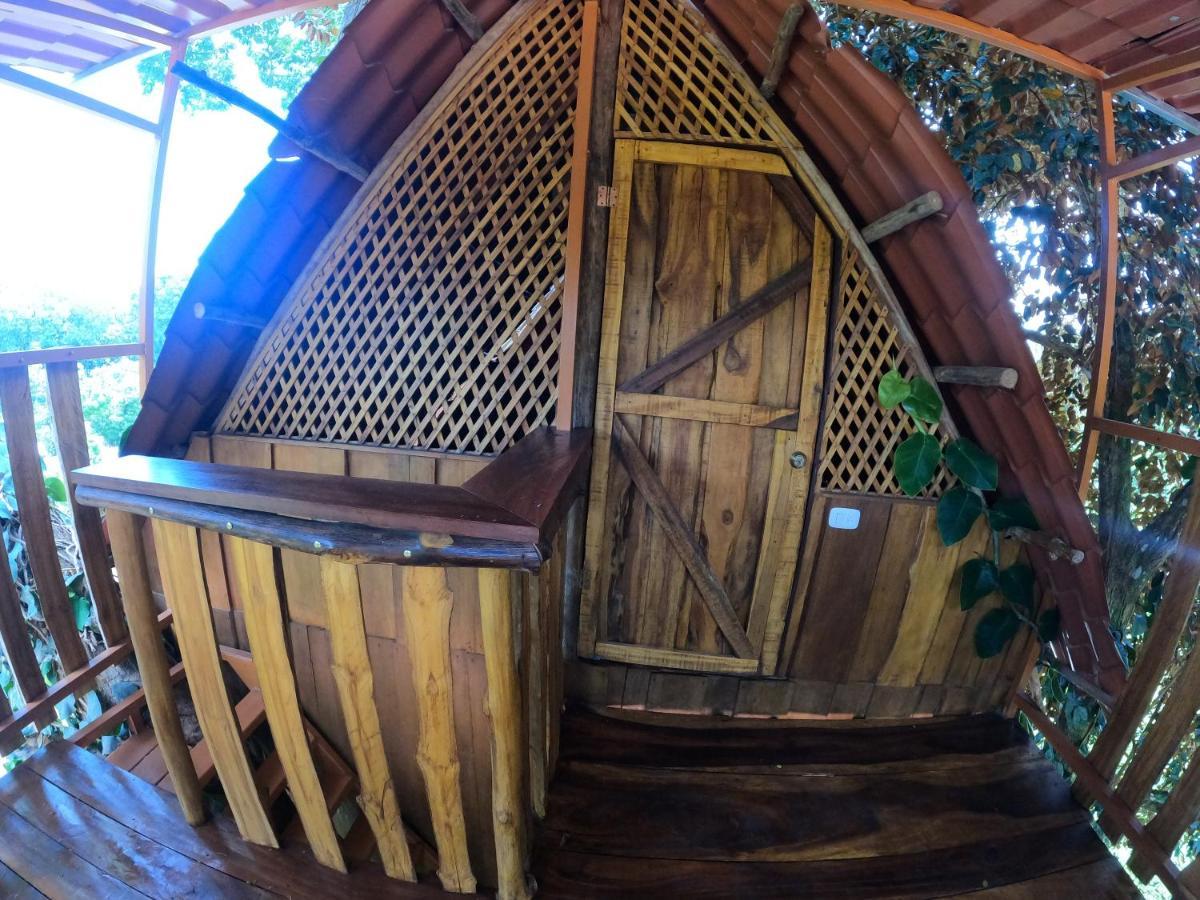 Tree House Samanea Lodge プエルト・リモン エクステリア 写真