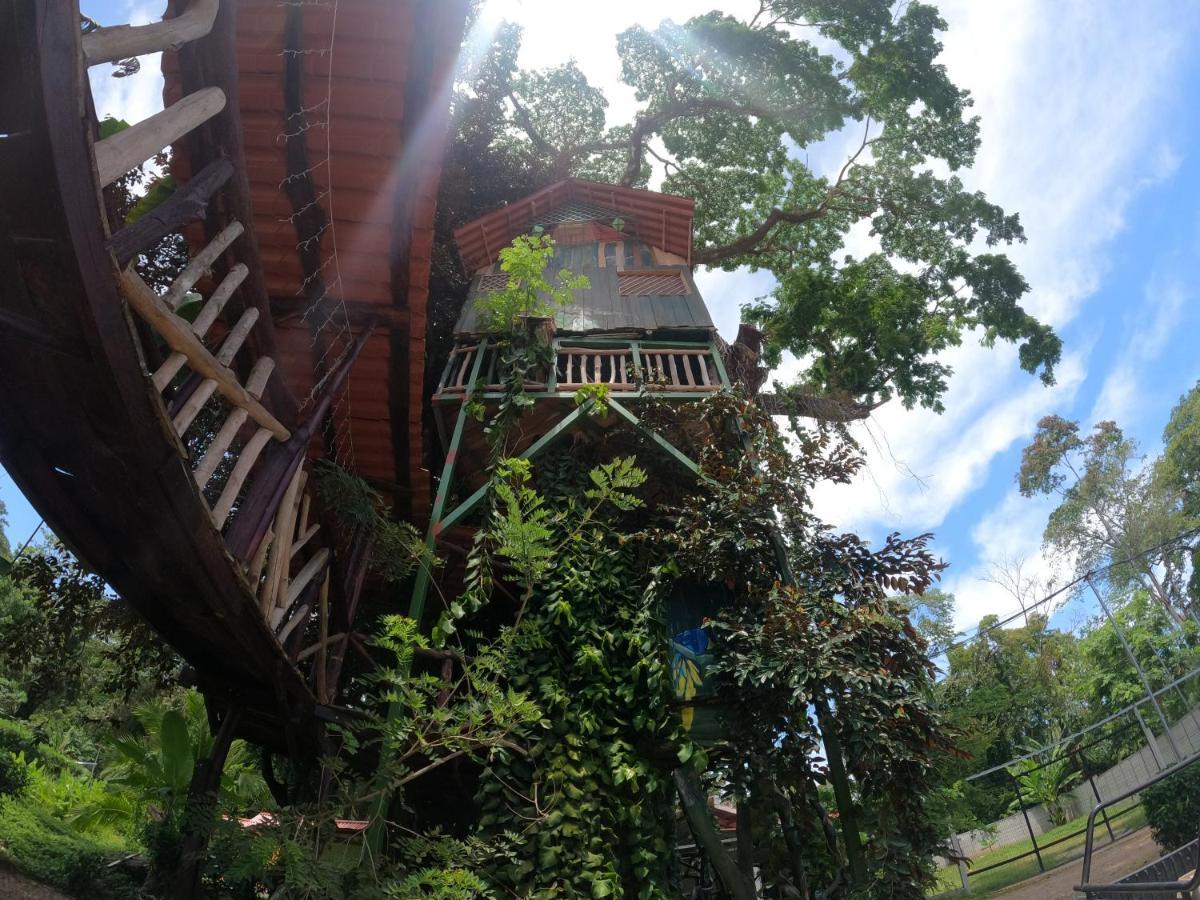 Tree House Samanea Lodge プエルト・リモン エクステリア 写真