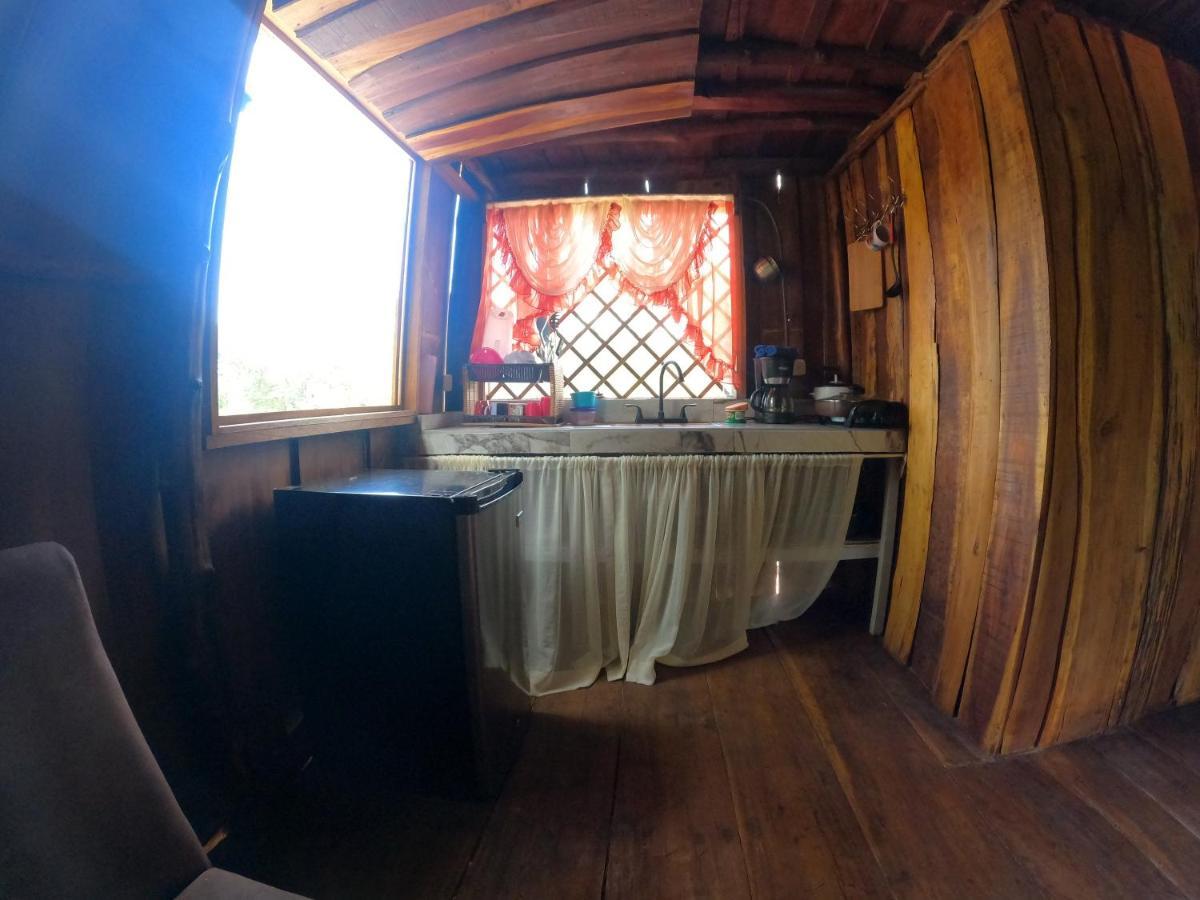 Tree House Samanea Lodge プエルト・リモン エクステリア 写真