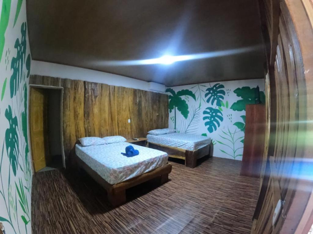 Tree House Samanea Lodge プエルト・リモン エクステリア 写真